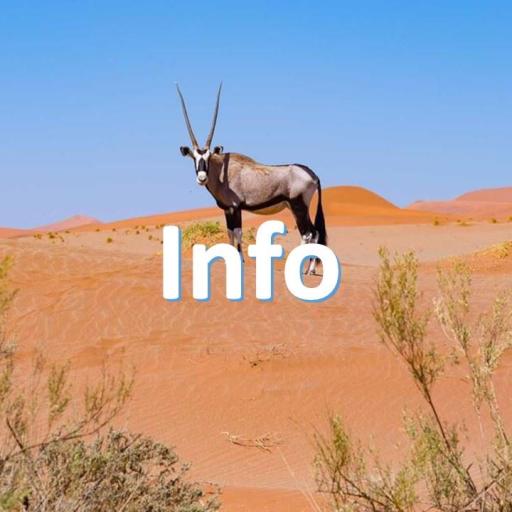 Namibia Info