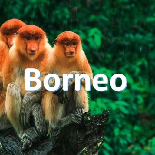 Malaysia_Borneo