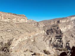 2024-12-22_10-46-48_354