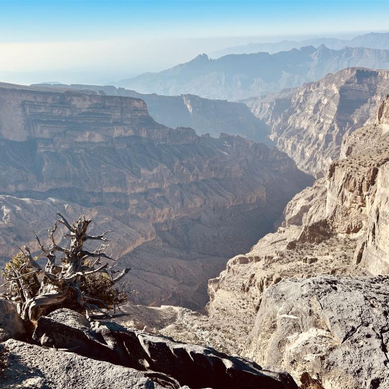 2024-12-23_09-35-28_542