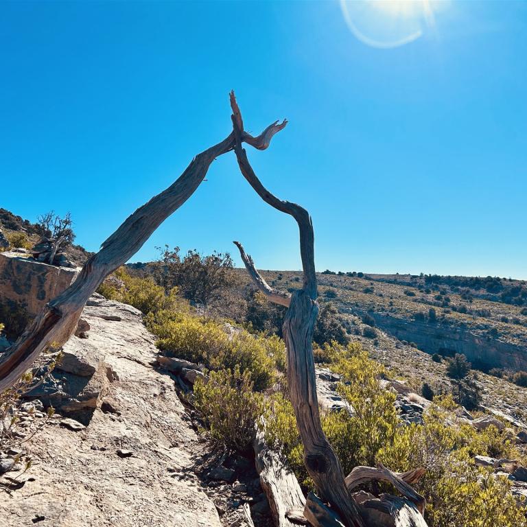 2024-12-23_10-14-57_887