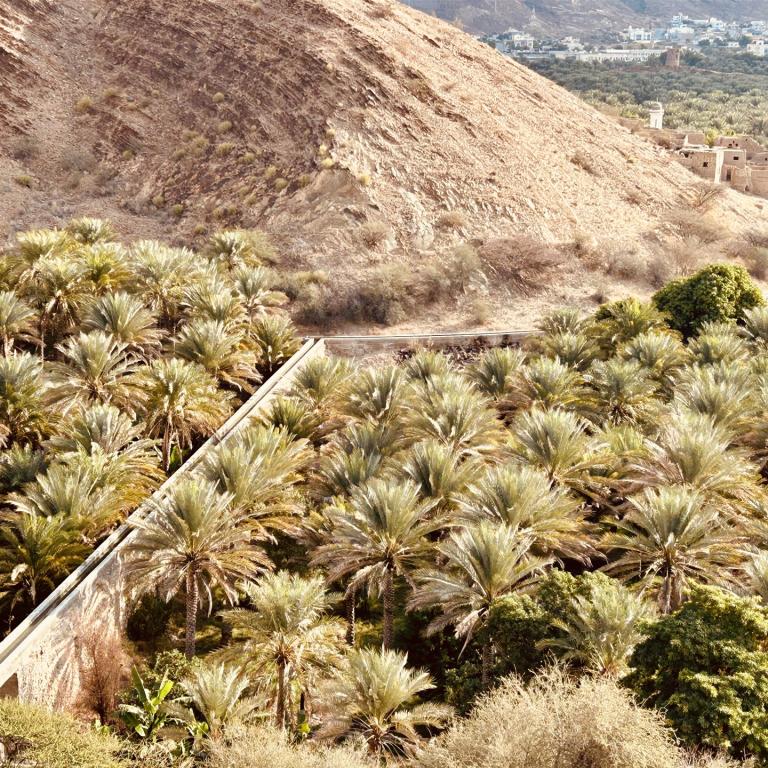 2024-12-25_09-12-57_766