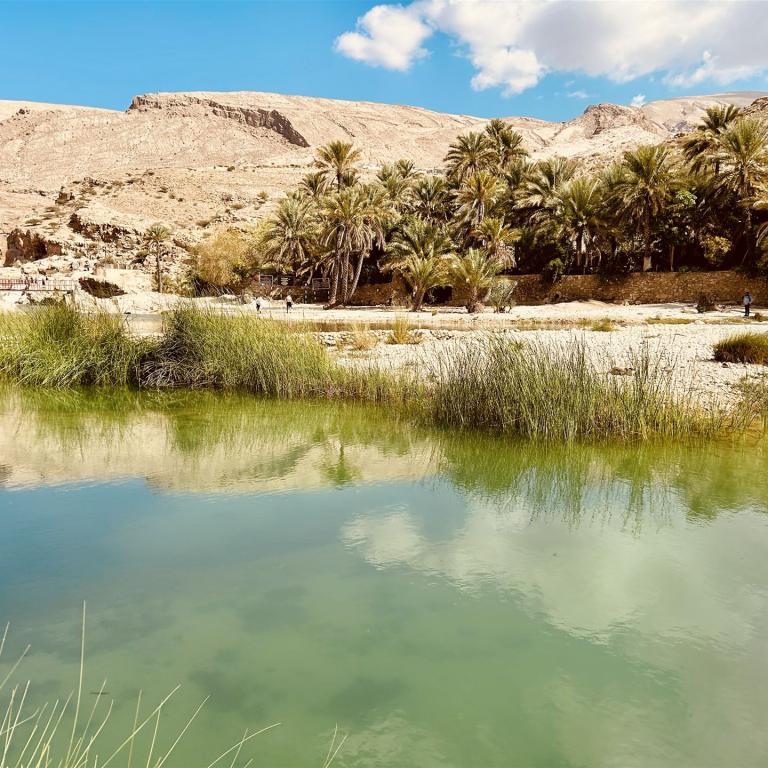 2024-12-26_11-39-40_181