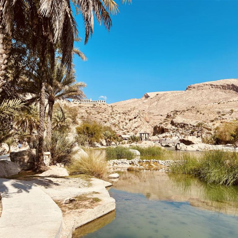 2024-12-26_11-39-48_063