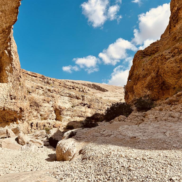 2024-12-26_11-55-42_941