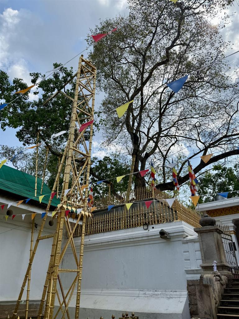 2025-04-13_14-28-16_770