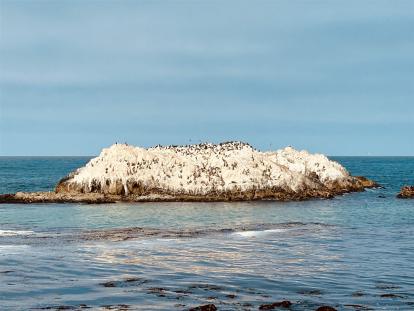 2024-06-19_11-07-29_967