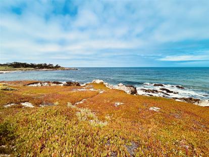 2024-06-19_11-10-41_453