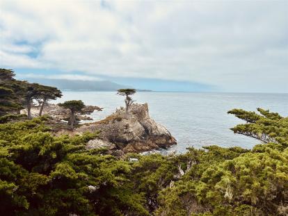 2024-06-19_11-17-08_915