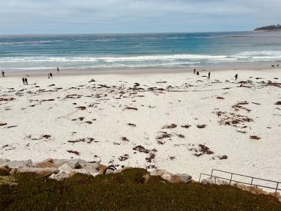 2024-06-19_11-38-35_431