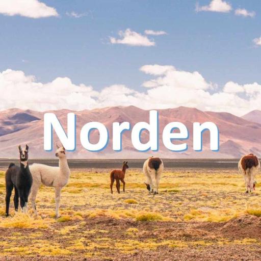 Chile_Info Norden